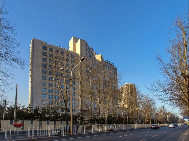 普陀区街道绿植花卉报价